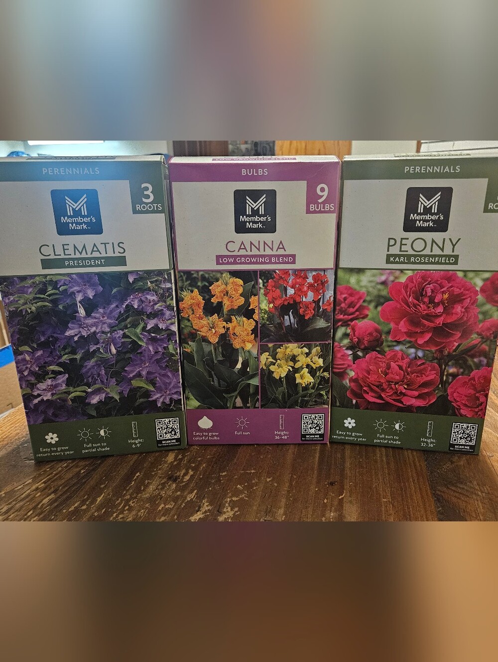 Clematis, Canna, and Peony Bulbs
